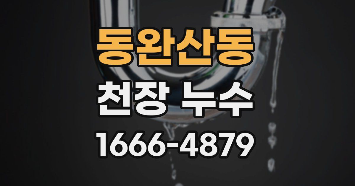 동완산동 천장 누수
