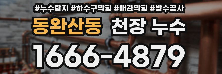 동완산동 천장 누수