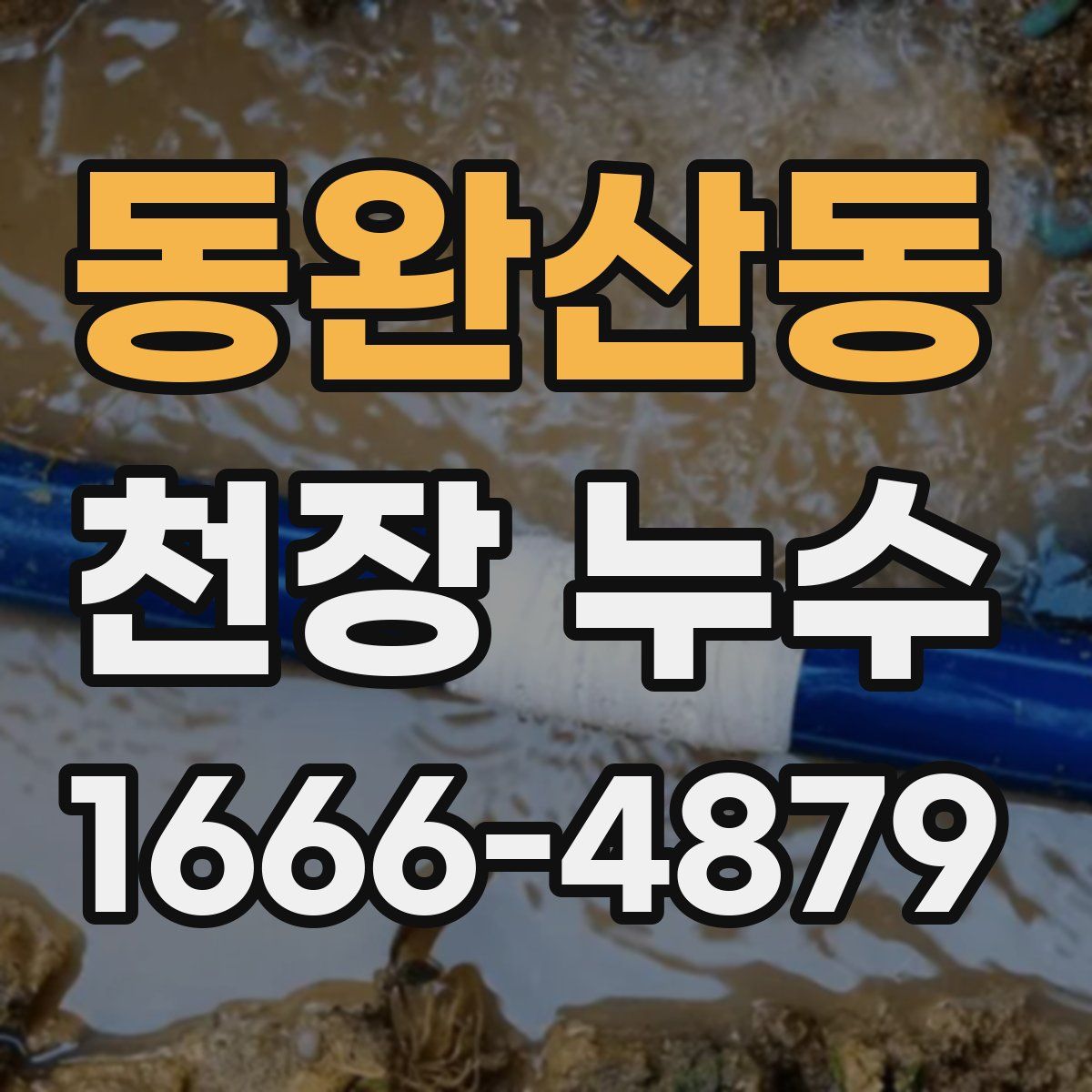 동완산동 천장 누수