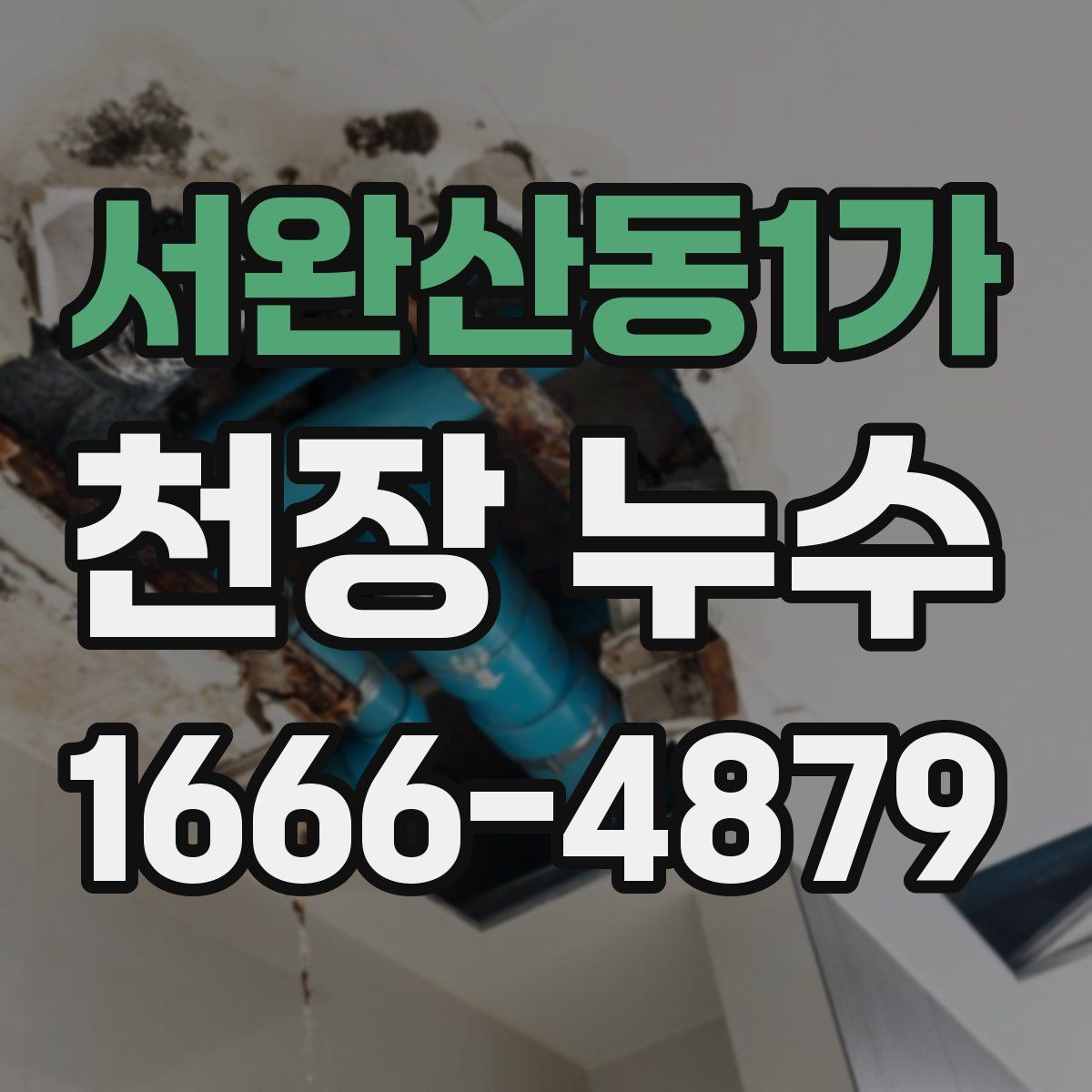서완산동1가 천장 누수