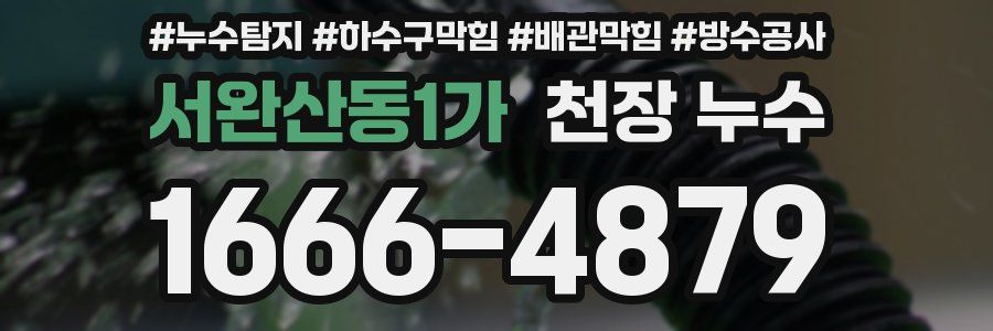 서완산동1가 천장 누수