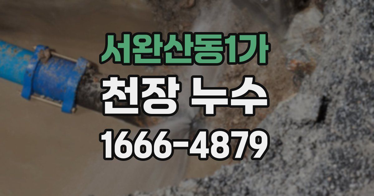 서완산동1가 천장 누수