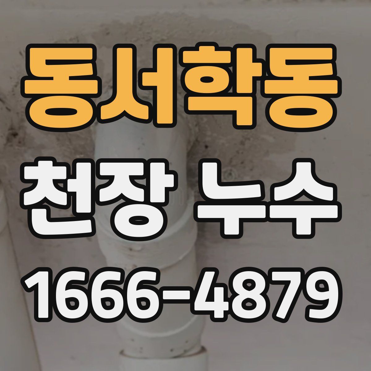 동서학동 천장 누수