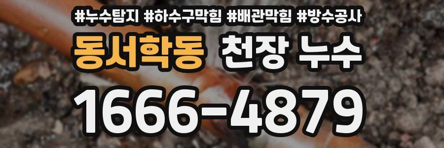 동서학동 천장 누수