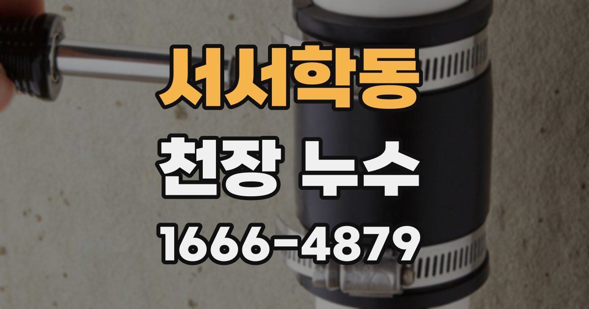 서서학동 천장 누수