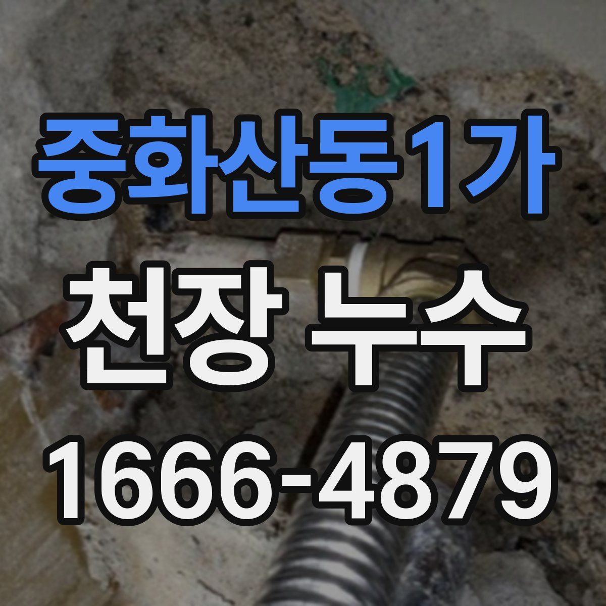 중화산동1가 천장 누수