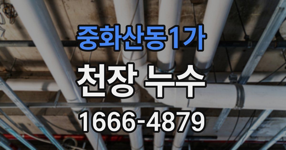 중화산동1가 천장 누수