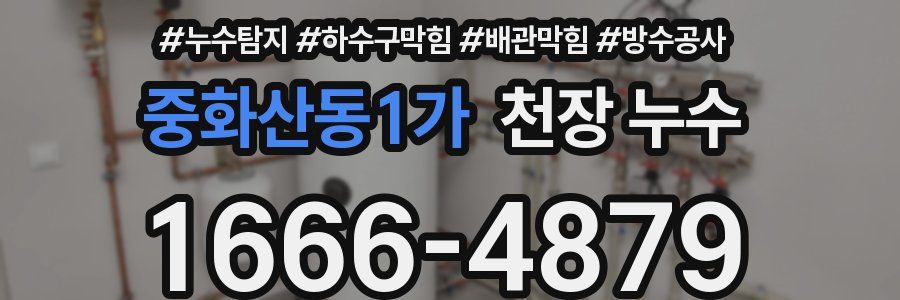 중화산동1가 천장 누수