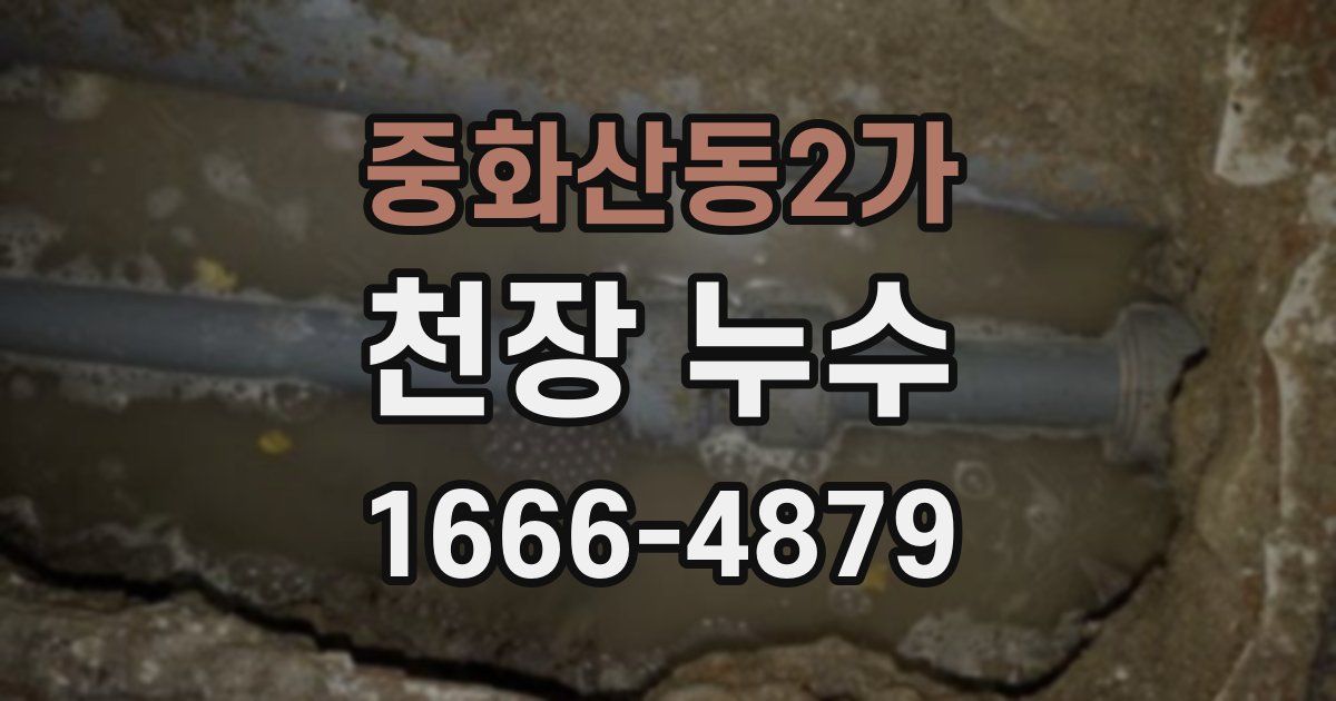 중화산동2가 천장 누수