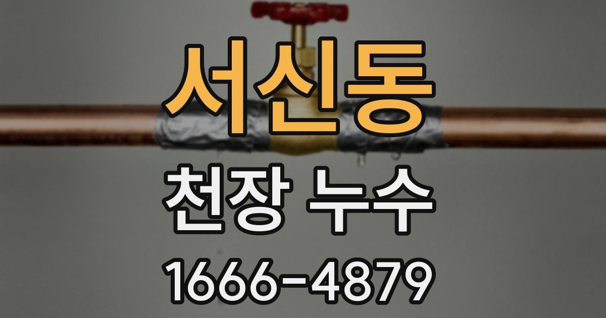 서신동 천장 누수