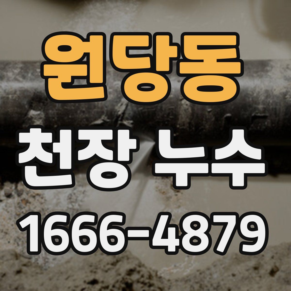 원당동 천장 누수
