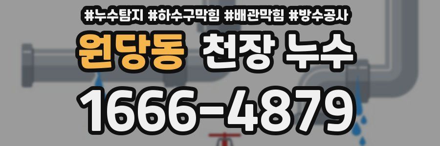 원당동 천장 누수