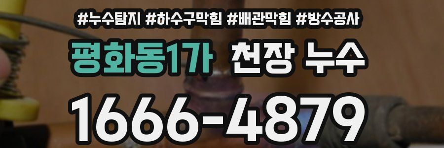 평화동1가 천장 누수