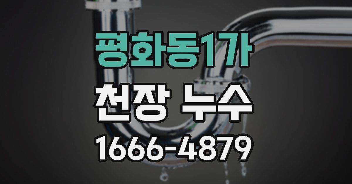 평화동1가 천장 누수