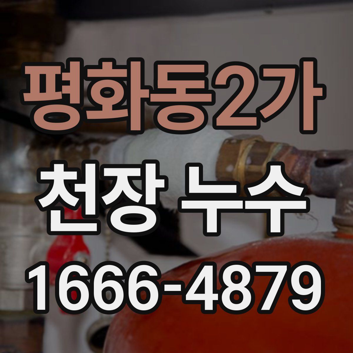 평화동2가 천장 누수