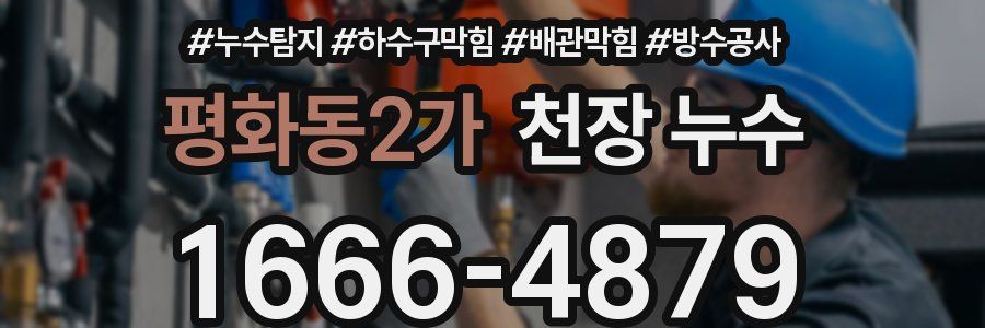 평화동2가 천장 누수