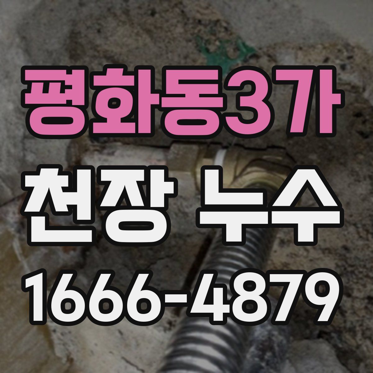 평화동3가 천장 누수