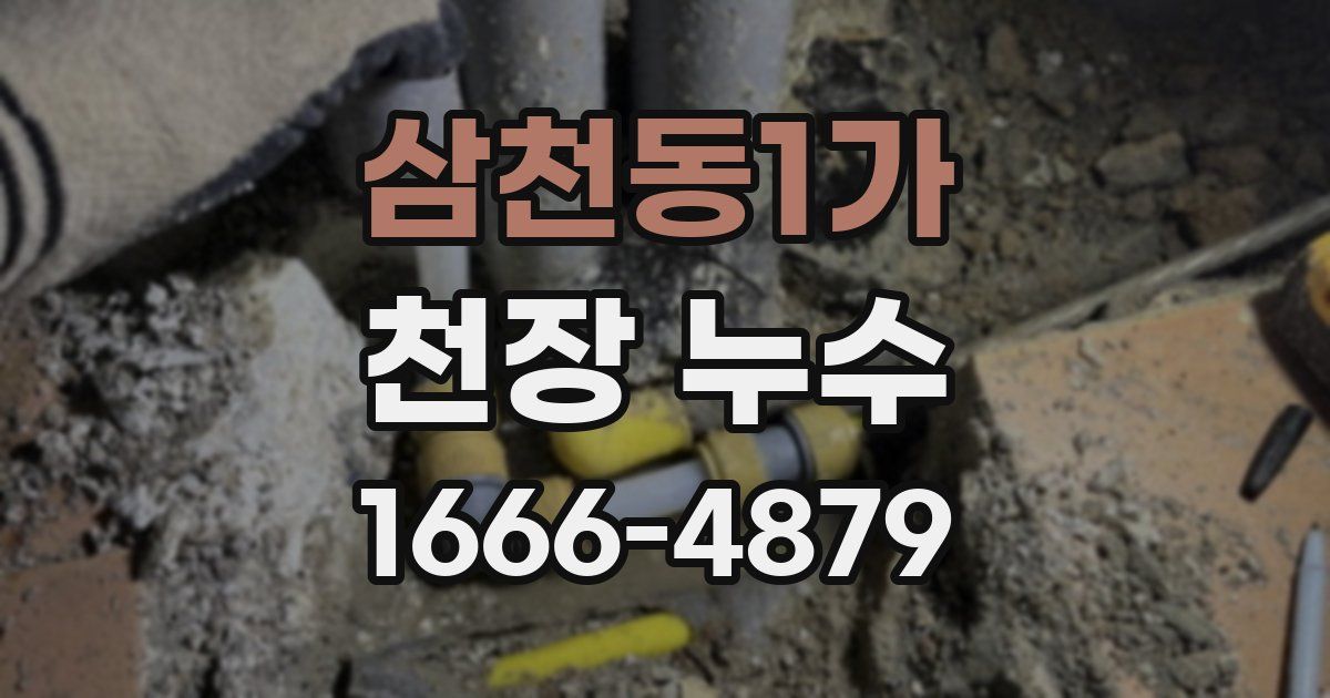 삼천동1가 천장 누수