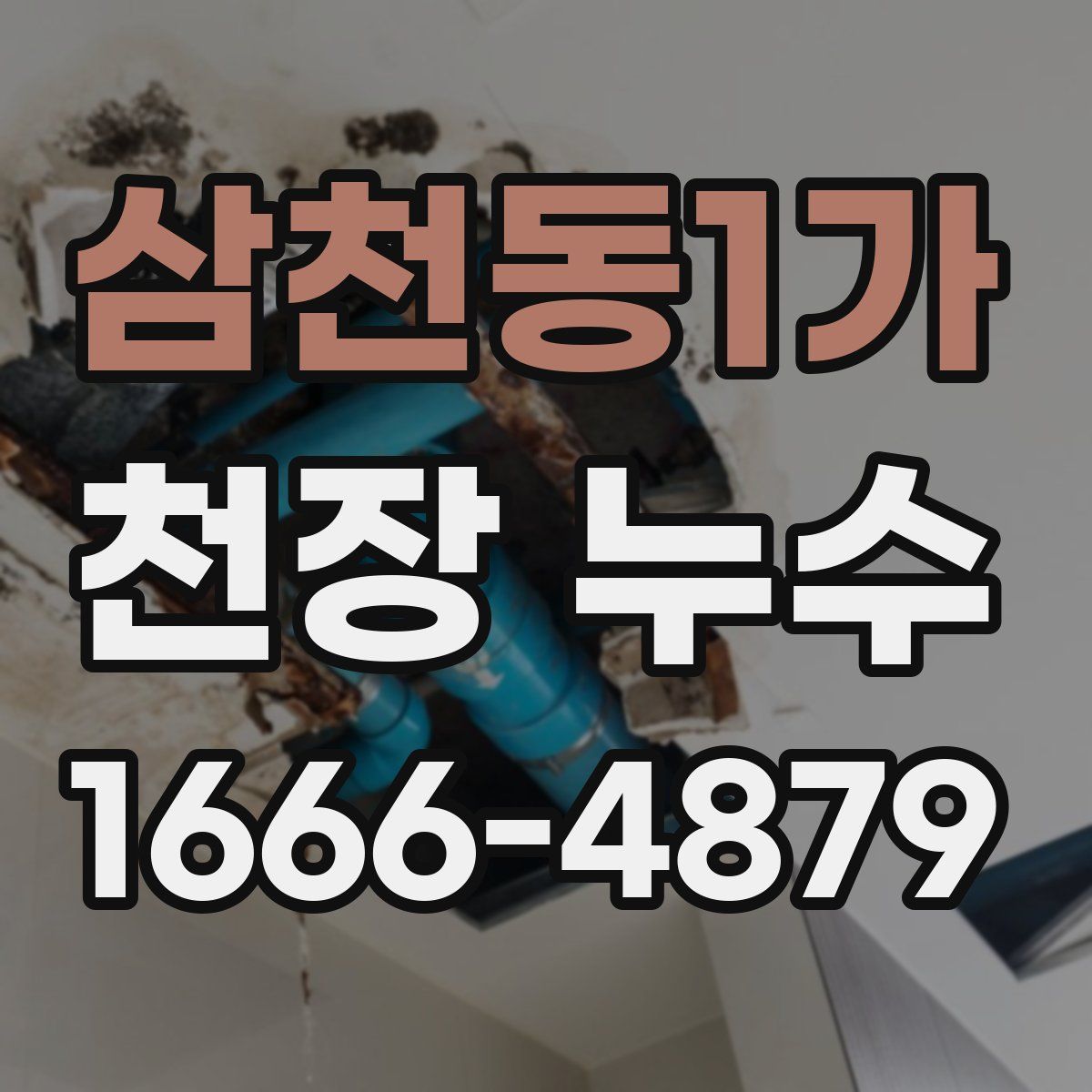 삼천동1가 천장 누수