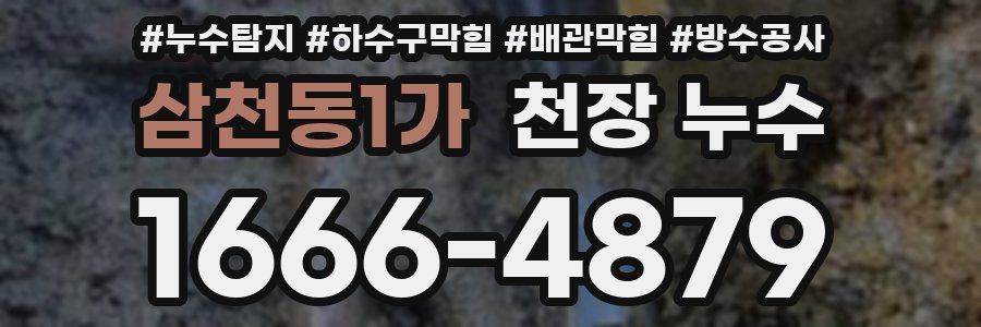 삼천동1가 천장 누수
