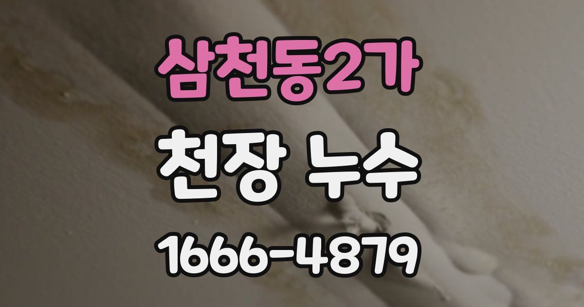 삼천동2가 천장 누수