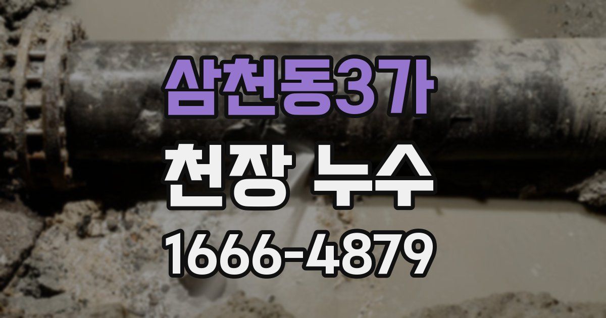 삼천동3가 천장 누수