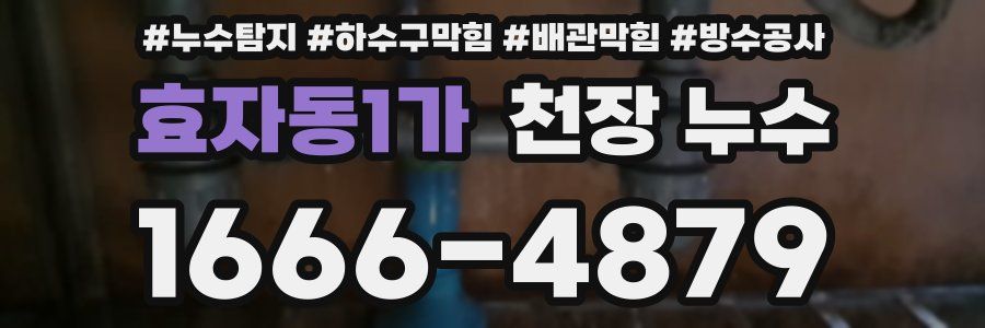 효자동1가 천장 누수