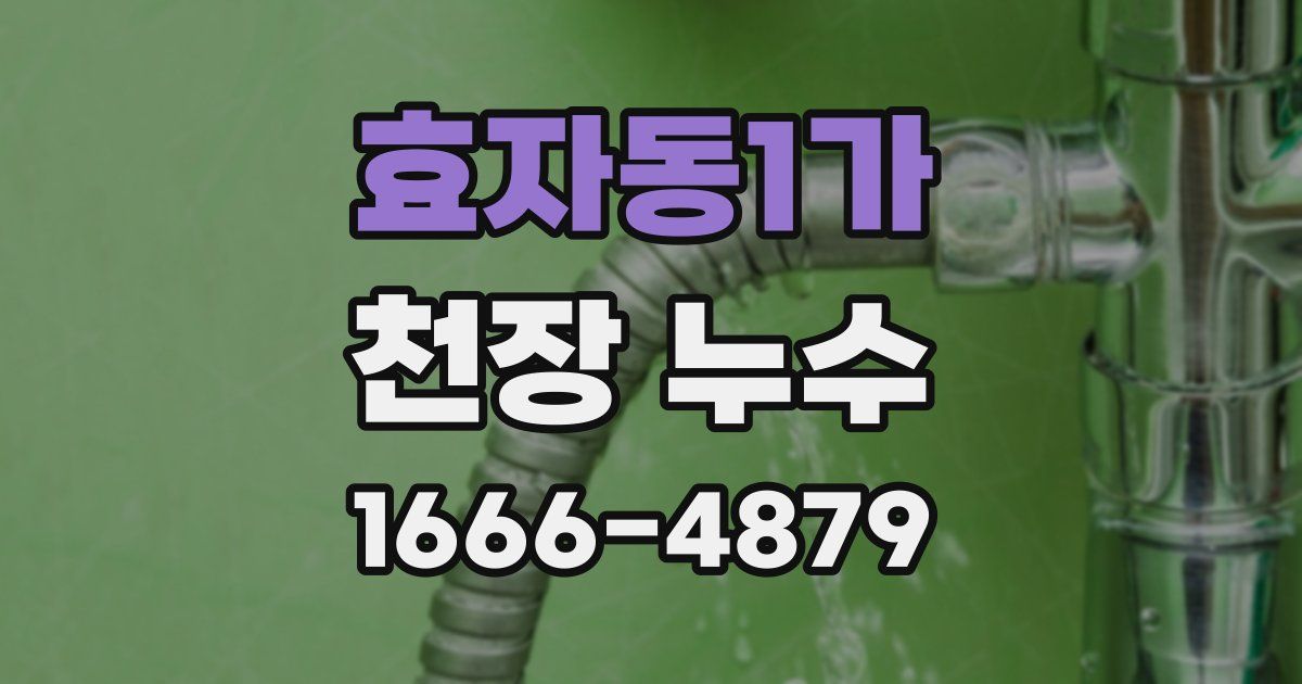 효자동1가 천장 누수
