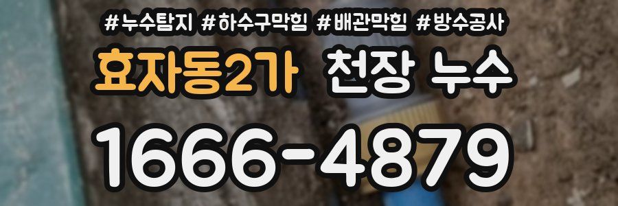 효자동2가 천장 누수