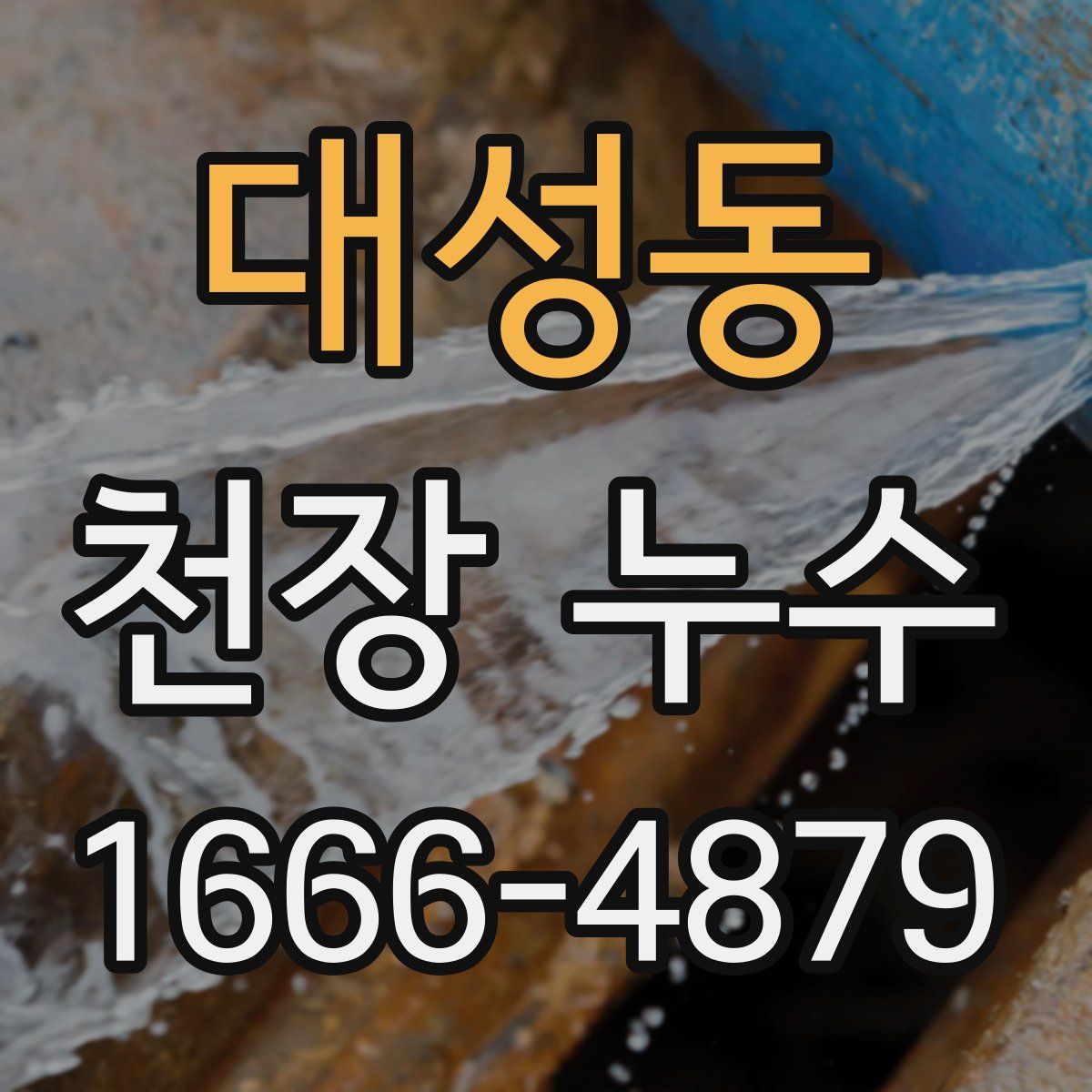 대성동 천장 누수