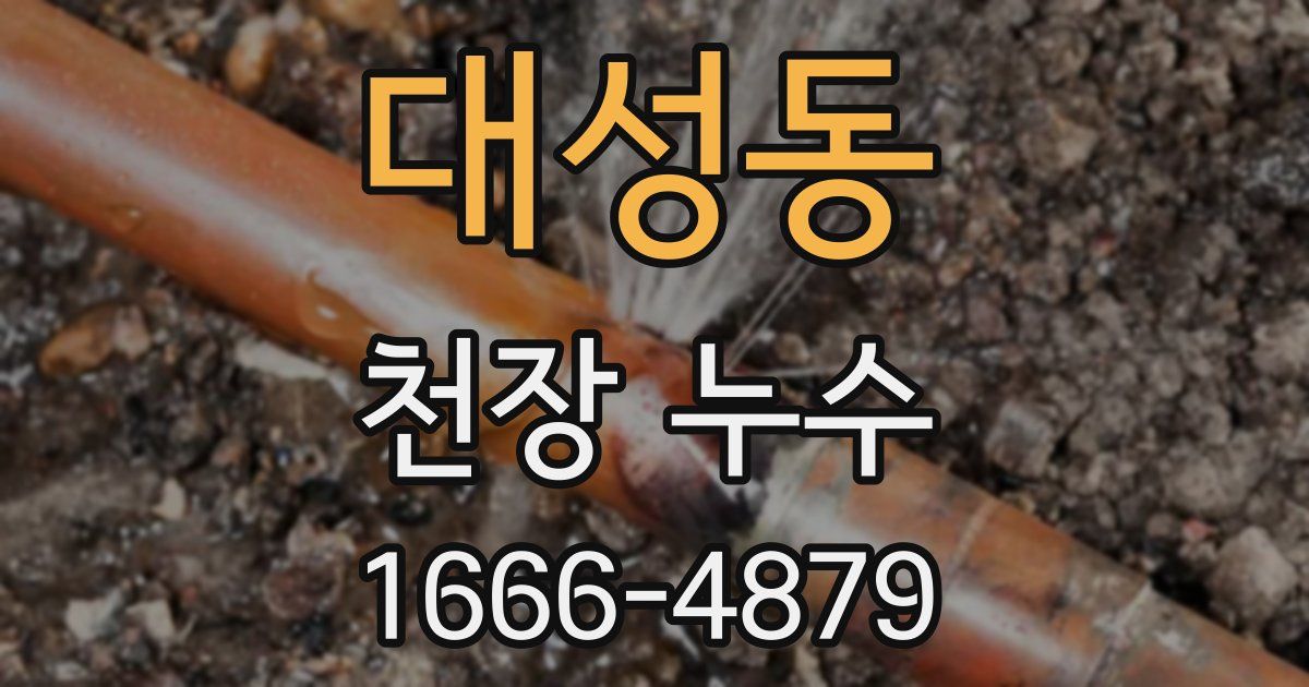 대성동 천장 누수