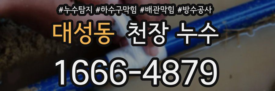 대성동 천장 누수