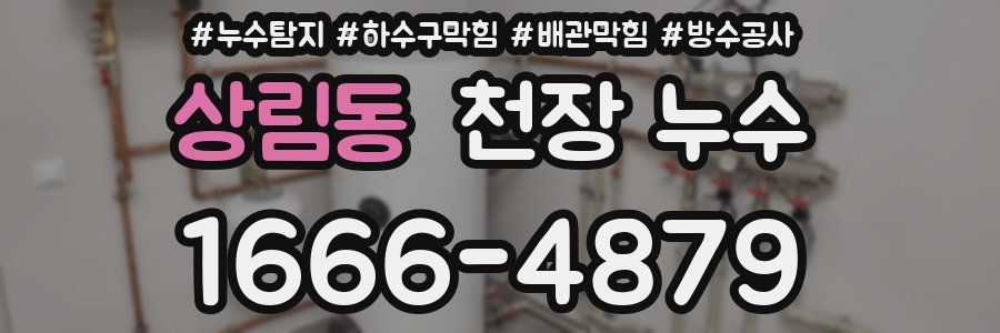 상림동 천장 누수