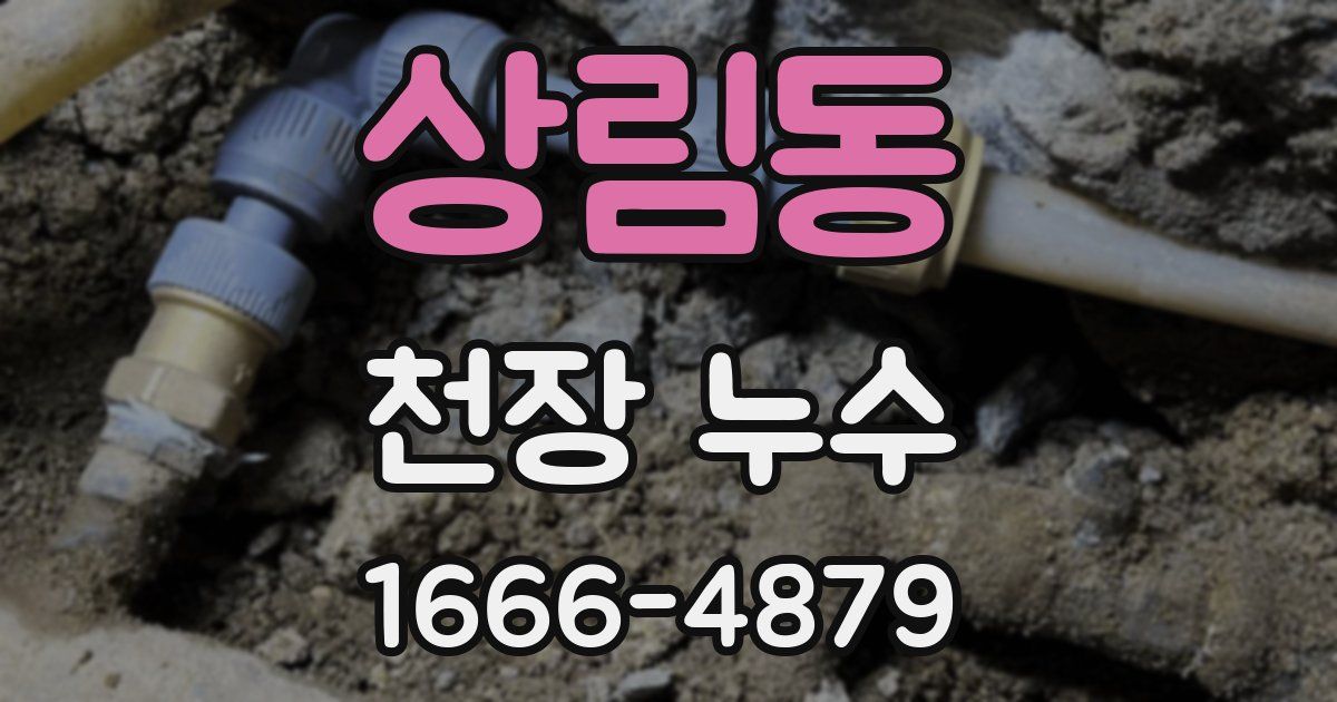 상림동 천장 누수