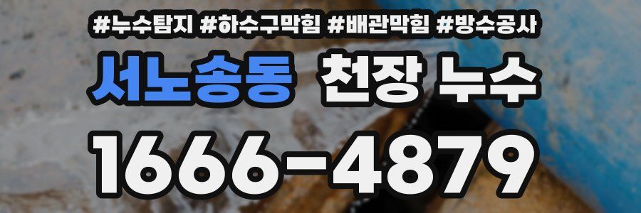 서노송동 천장 누수