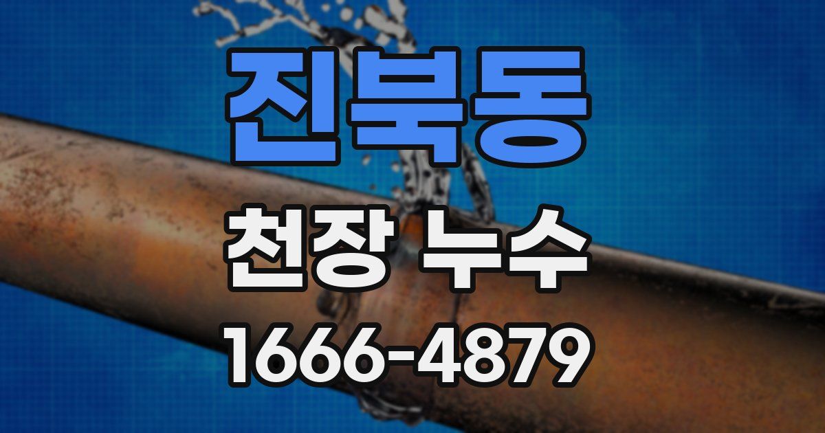 진북동 천장 누수