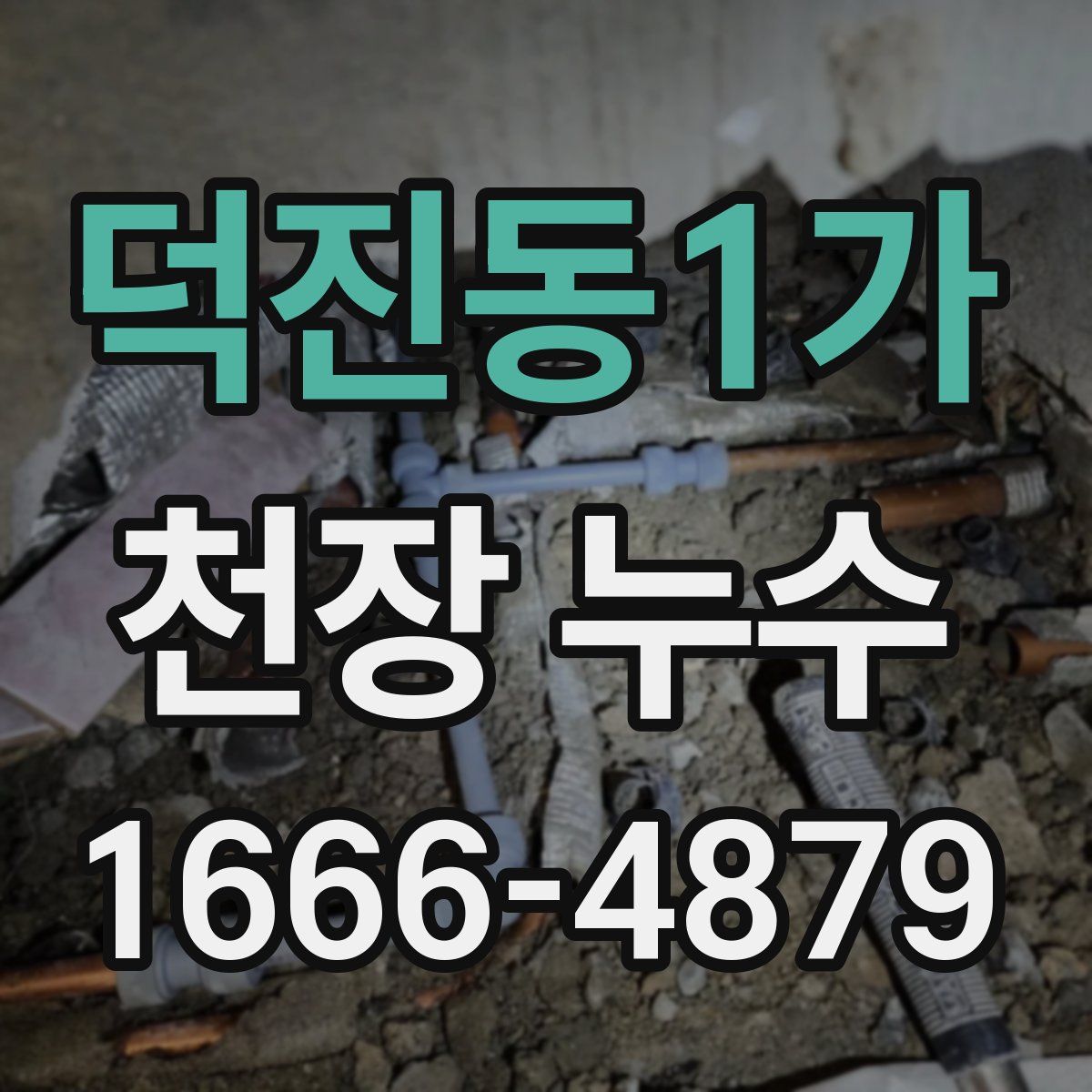 덕진동1가 천장 누수