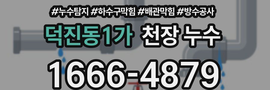덕진동1가 천장 누수