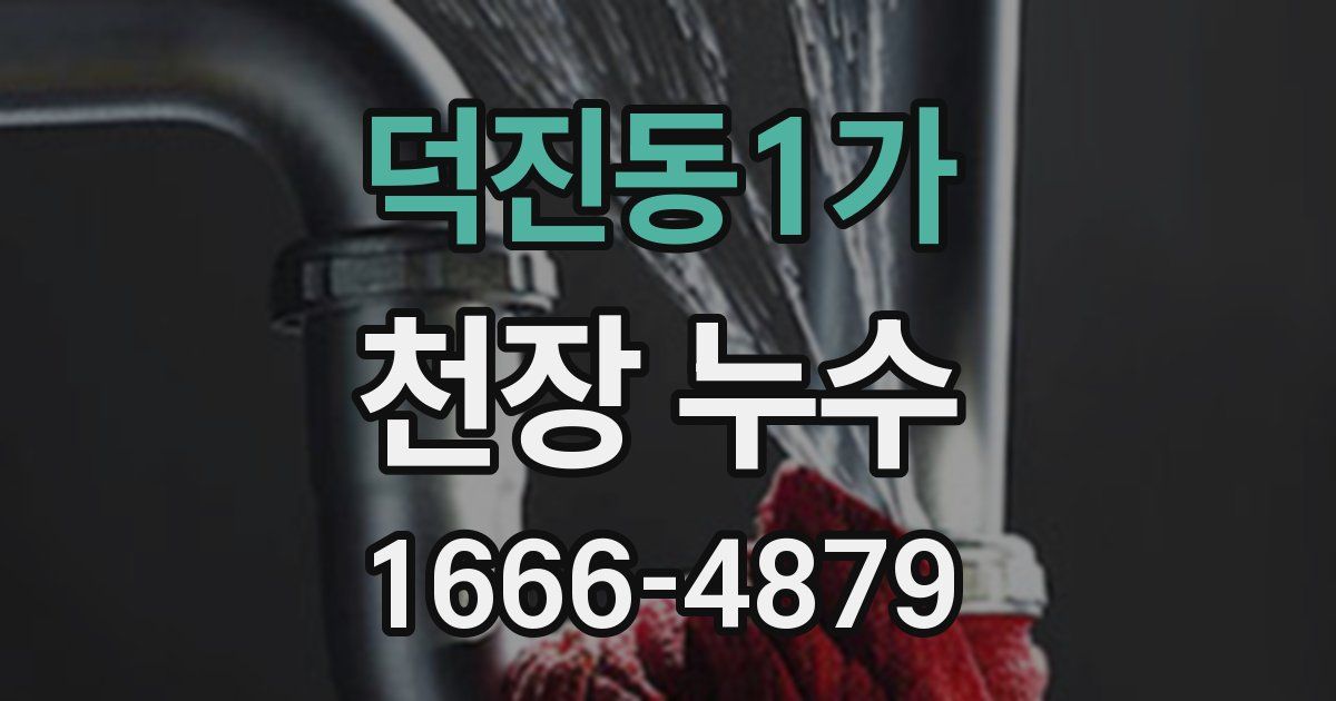 덕진동1가 천장 누수