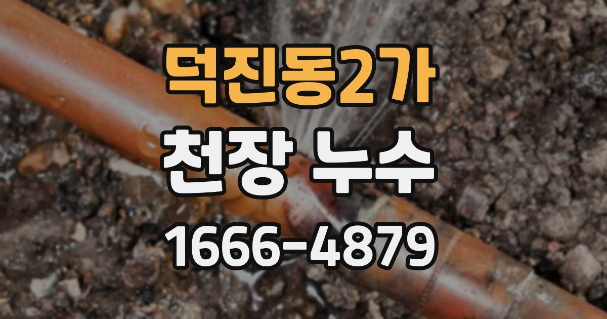 덕진동2가 천장 누수