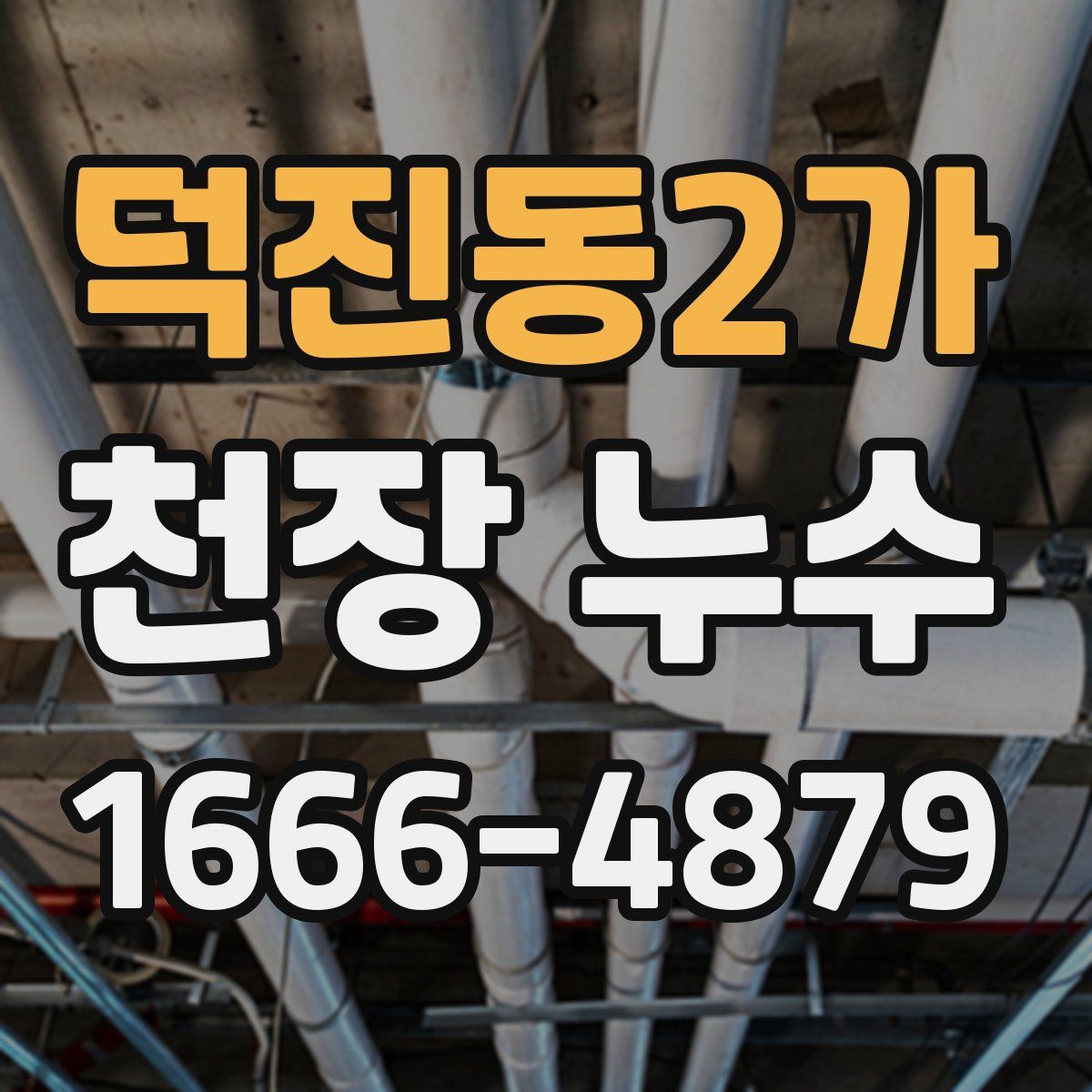 덕진동2가 천장 누수