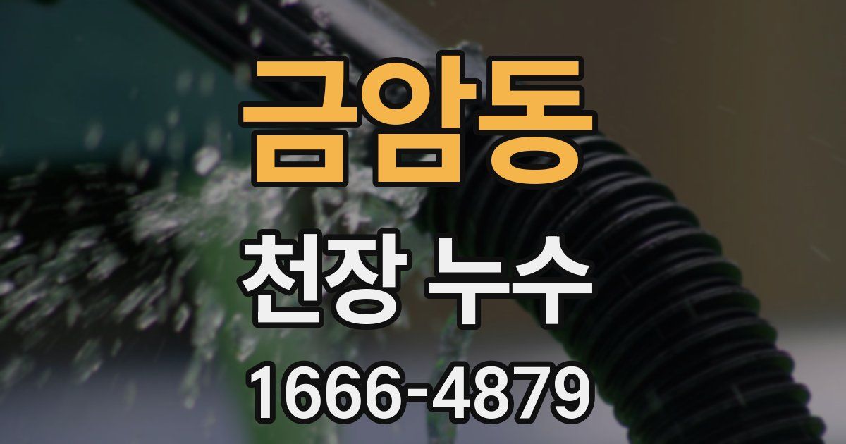 금암동 천장 누수
