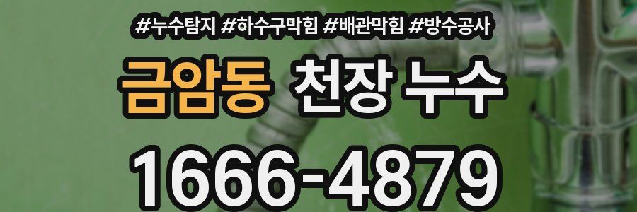 금암동 천장 누수
