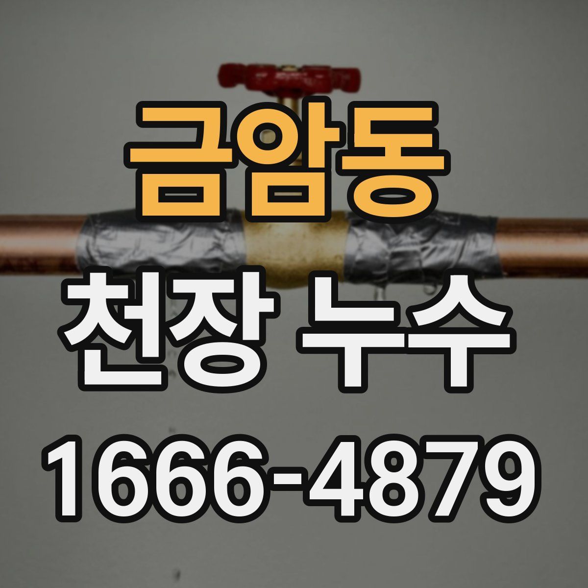 금암동 천장 누수