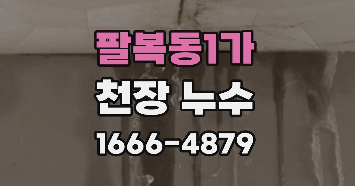 팔복동1가 천장 누수