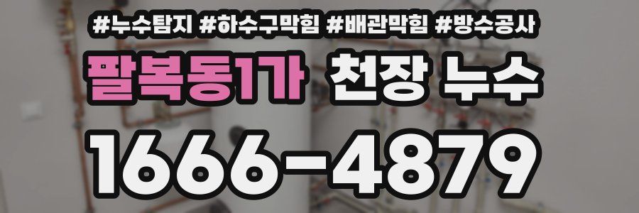 팔복동1가 천장 누수