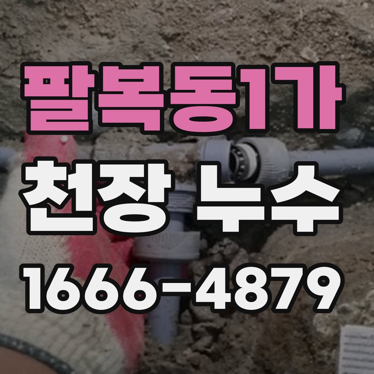 팔복동1가 천장 누수