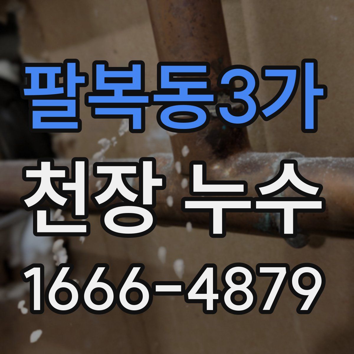 팔복동3가 천장 누수