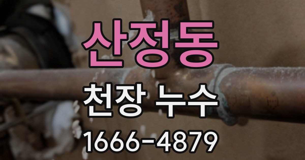 산정동 천장 누수
