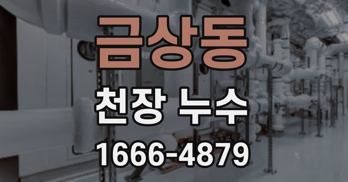 금상동 천장 누수